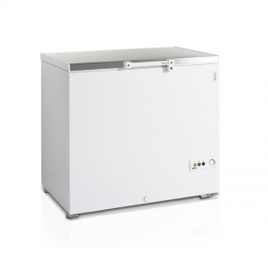 Скриня морозильна TEFCOLD FR305S SL