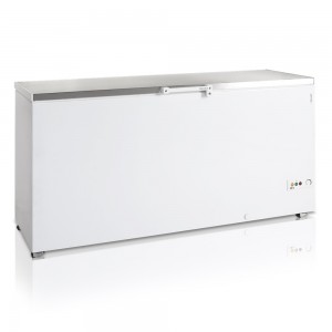 Скриня морозильна TEFCOLD FR605S SL