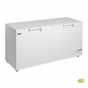 Скриня морозильна з глухою кришкою TEFCOLD FR606 SL